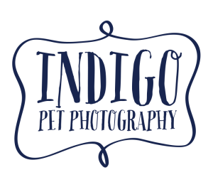 blue logo transparency