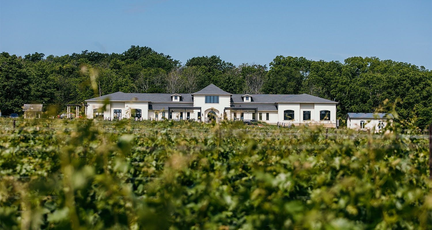 view over the vines of Rosewood estates winery beamsville ontario